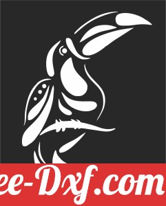 toucan Bird wall arts