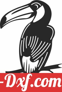 Toucan Silhouette bird on branch