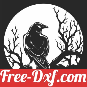 Black Crow bird On A Tree Branch