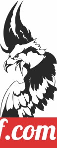 eagle flying