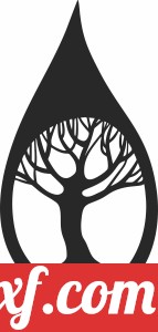 Leaf with tree inside wall decor