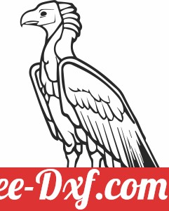 Vulture eagle silhoutte clipart