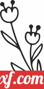 drawing flowers clipart