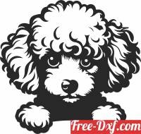 download poodle dog clipart free ready for cut