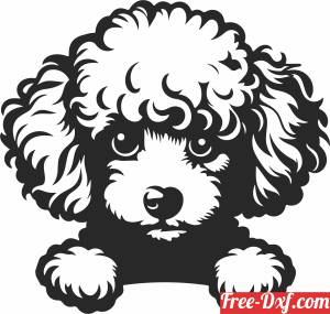 download poodle dog clipart free ready for cut