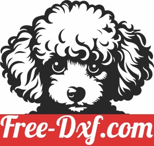 poodle dog clipart