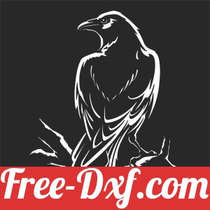 Peregrine Falcon Drawing Bird on branche