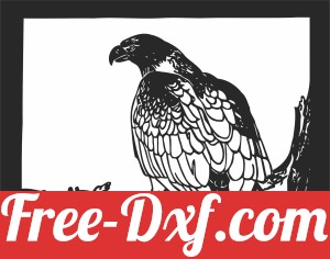 eagle on branch design