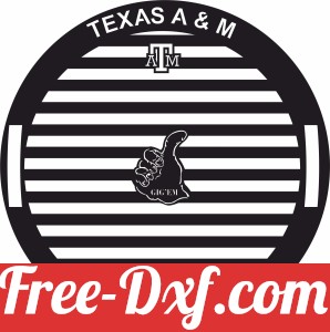 BBQ Grilling Grill Barbecue Texas A&M