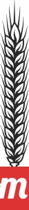 wheat clipart