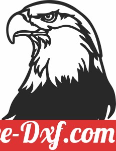 Bald eagle wall decor