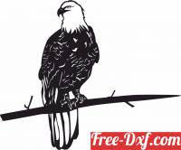 download bald eagle on a branche wall art free ready for cut
