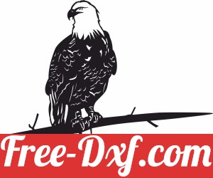 bald eagle on a branche wall art