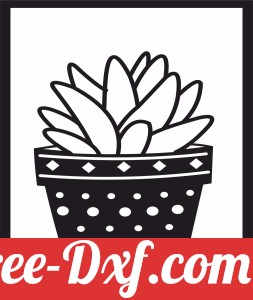 Succulents Plant pot