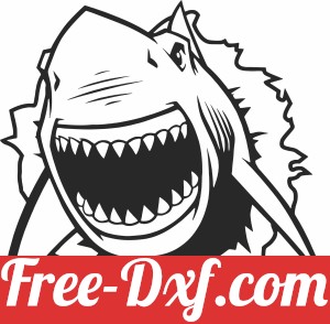 angry shark wall sign