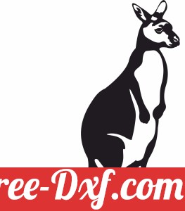 Australian Kangaroo