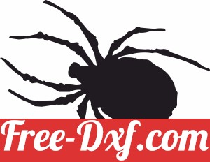 spider silhouette