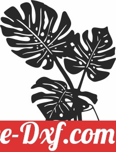 vase monstera clipart