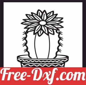 cactus Succulents Plant pot