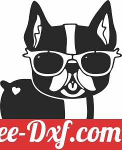 dog Wearing Sunglasses