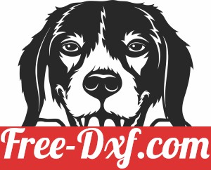 beagle dog clipart