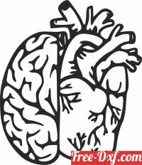 download heart brain cliparts free ready for cut