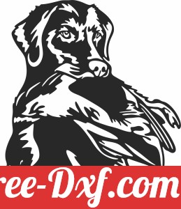 Dog Duck Hunting cliparts