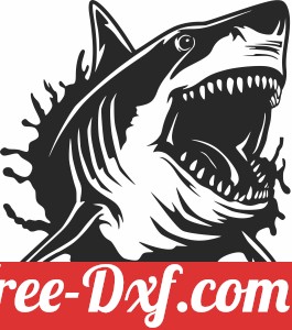 Shark wall art