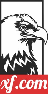 American Eagle Bald